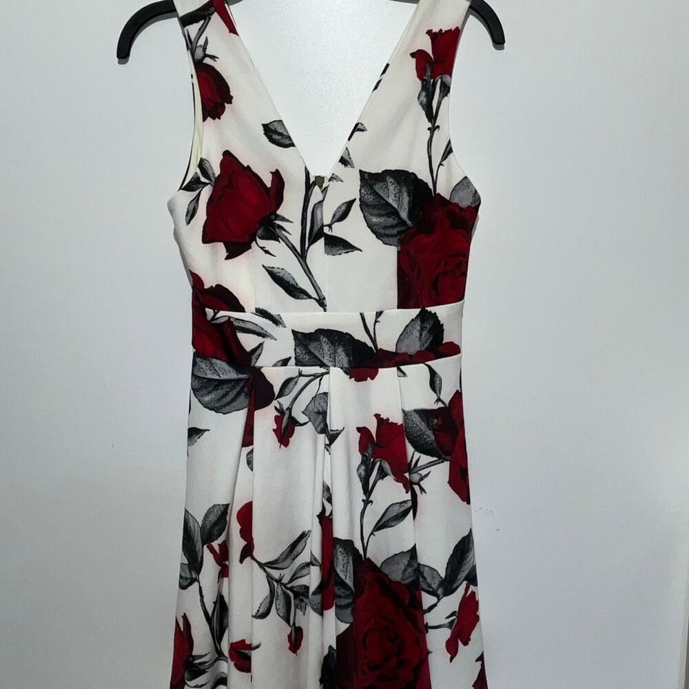 Haute Monde Women's White Red Floral V-Neck Pleated Fit & Flare Dress Sz Medium